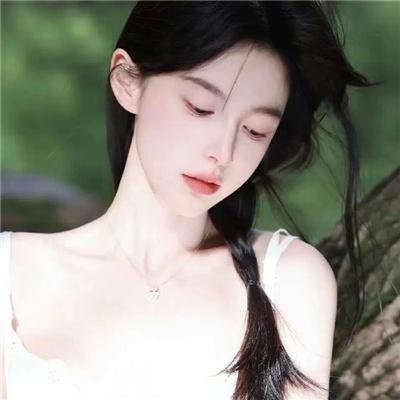 盗贼生涯